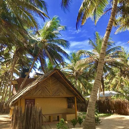 Seahorse Beach Resort คัลพิทิยา ภายนอก รูปภาพ