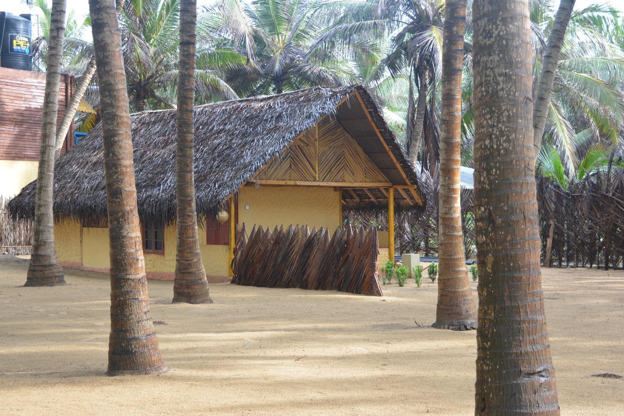Seahorse Beach Resort คัลพิทิยา ภายนอก รูปภาพ