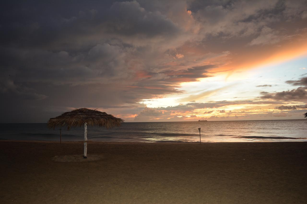 Seahorse Beach Resort คัลพิทิยา ภายนอก รูปภาพ