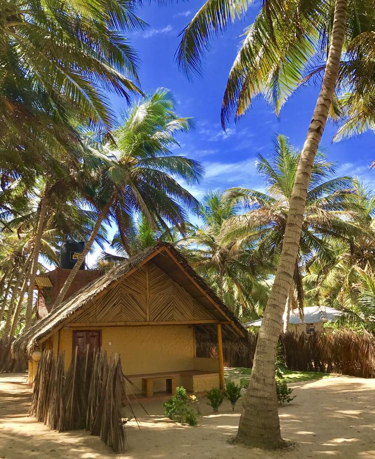 Seahorse Beach Resort คัลพิทิยา ภายนอก รูปภาพ