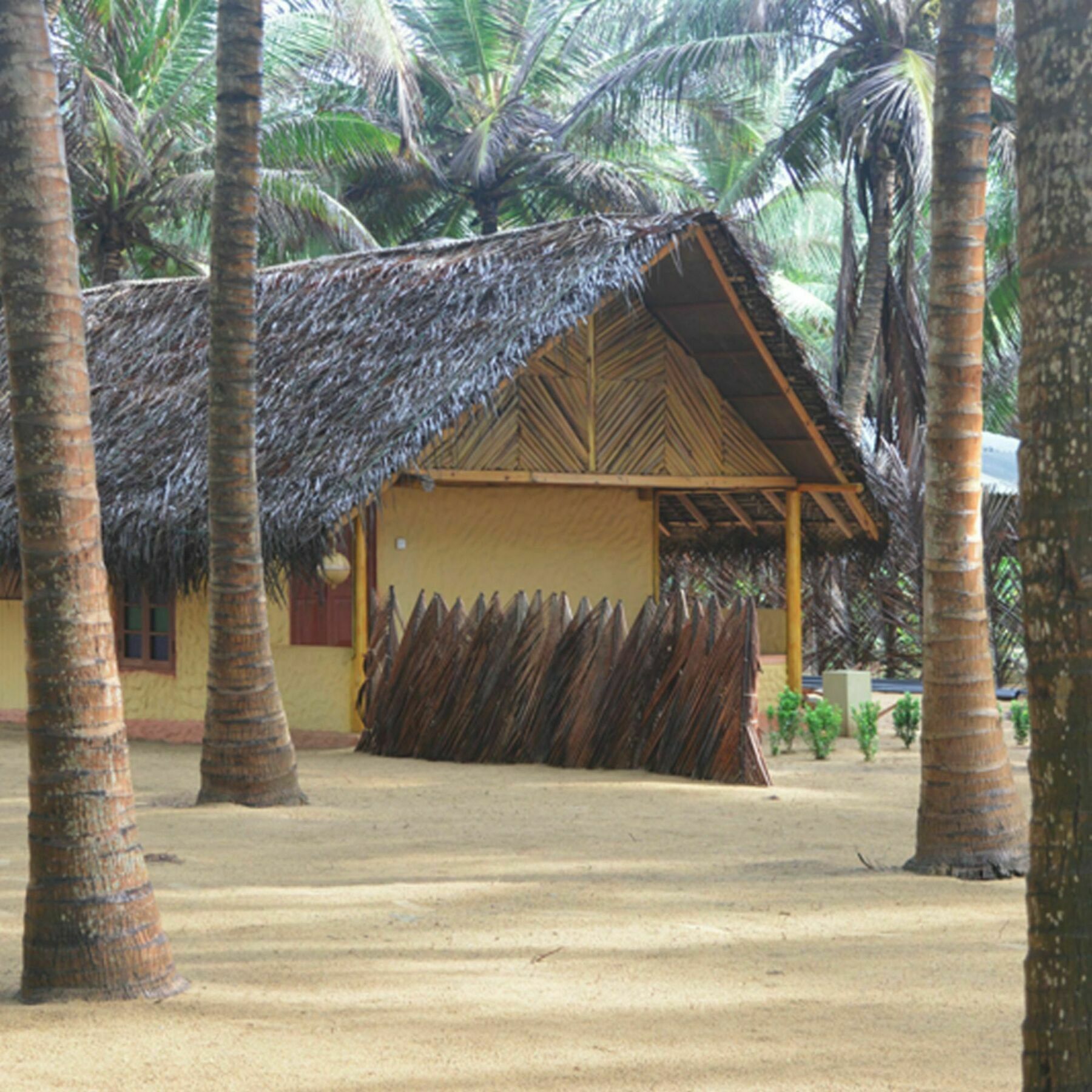 Seahorse Beach Resort คัลพิทิยา ภายนอก รูปภาพ